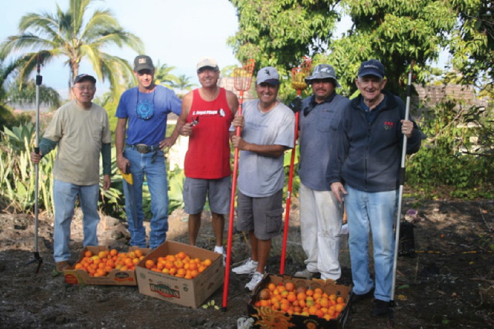 Kona Knights’ backyard harvests prevent food waste, feed the poor